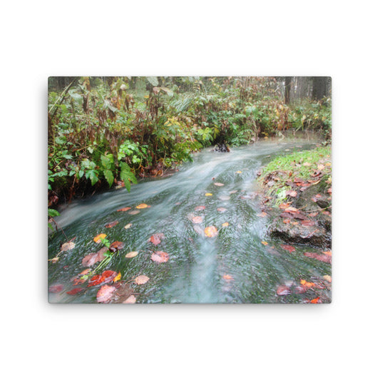 Canvas - Vesistö (Antti Terävä)