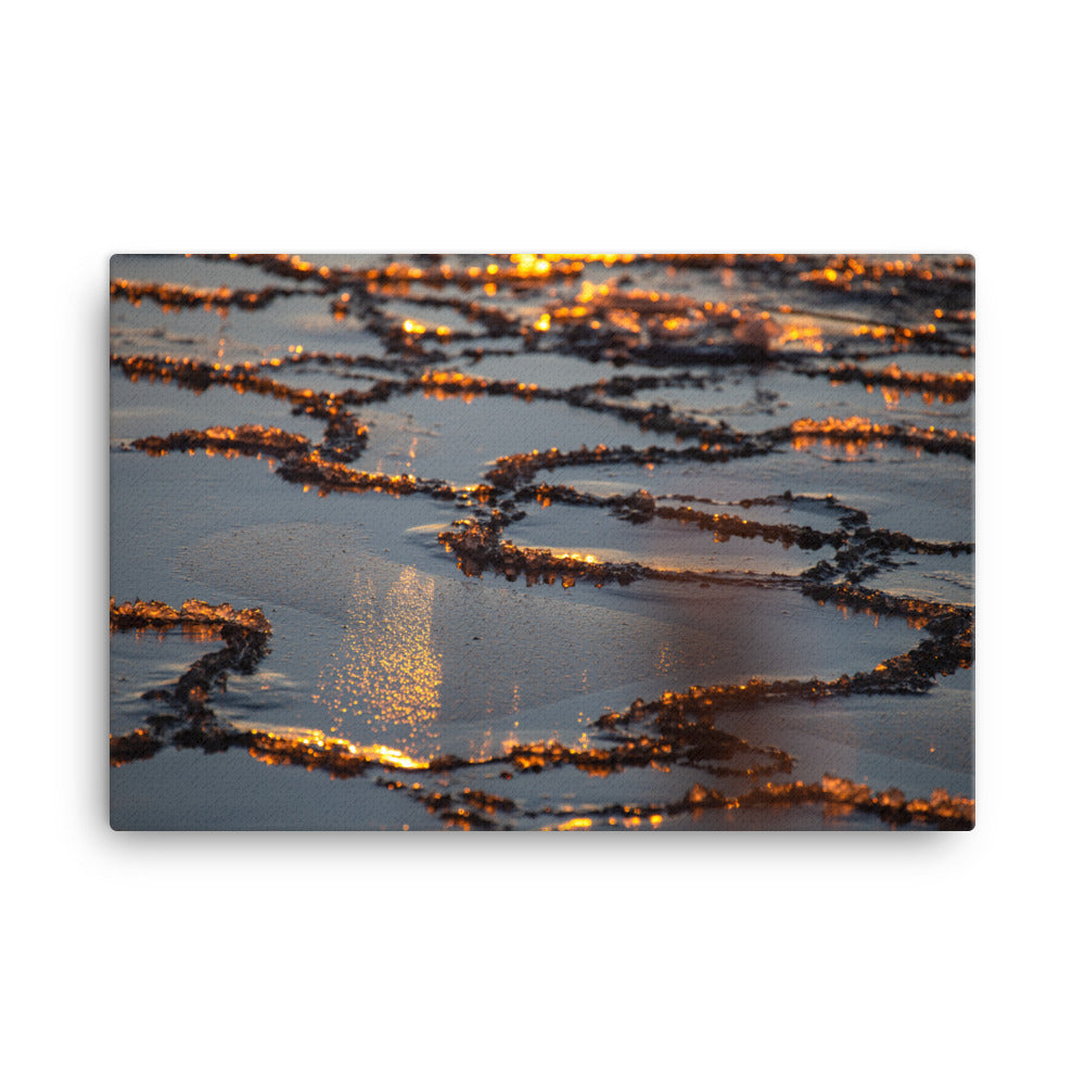 Canvas - Naturens konstverk (Antti Terävä)