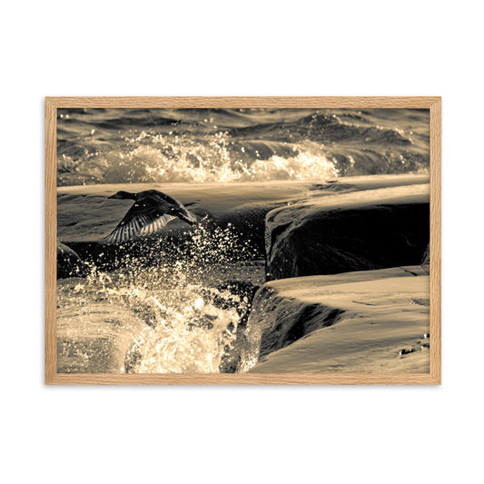 Taulu - Haahka karussa (Antti Terävä)