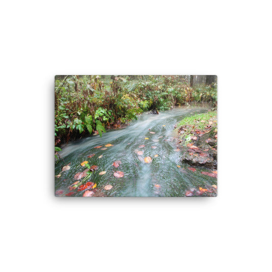 Canvas - Vattendraget (Antti Terävä)