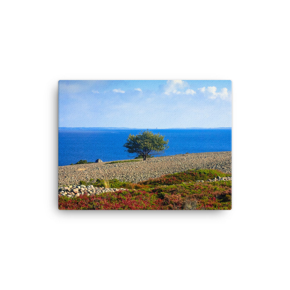 Canvas - Ensamt träd (Antti Terävä)