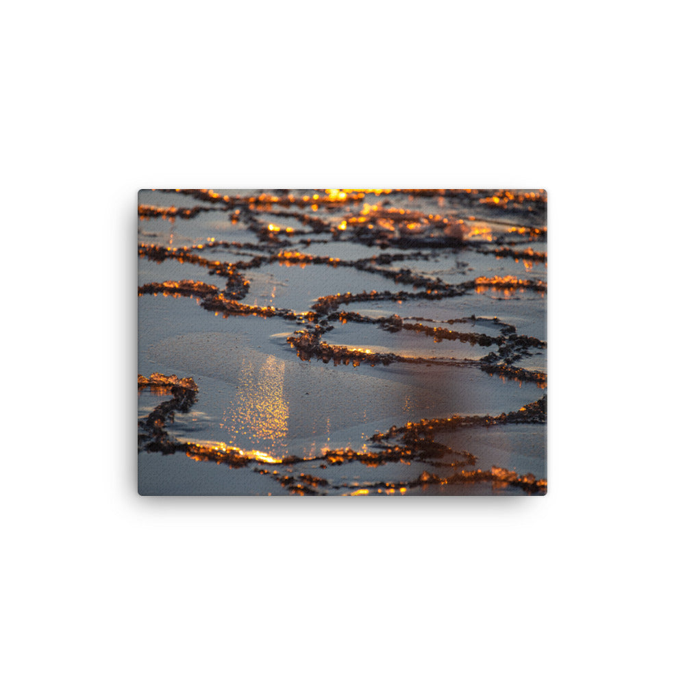 Canvas - Luonnon taideteos (Antti Terävä)