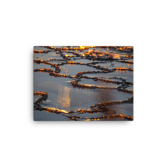 Canvas - Naturens konstverk (Antti Terävä)