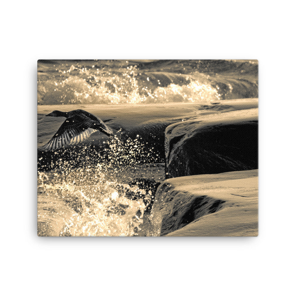 Canvas - Ådan i flykt (Antti Terävä)