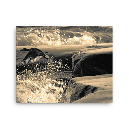 Canvas - Ådan i flykt (Antti Terävä)