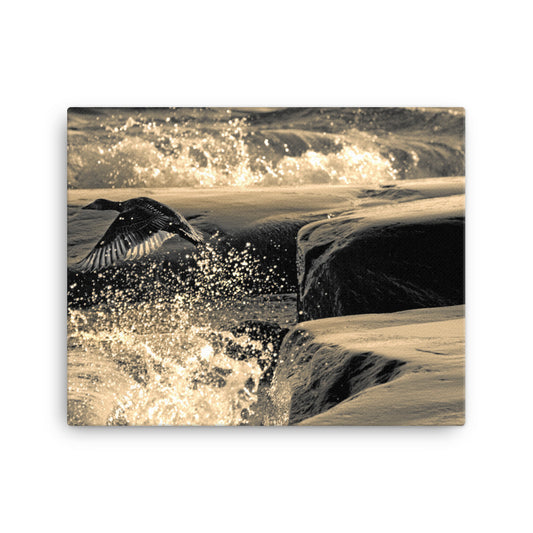 Canvas - Ådan i flykt (Antti Terävä)