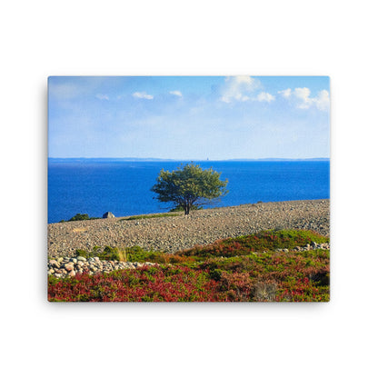 Canvas - Ensamt träd (Antti Terävä)