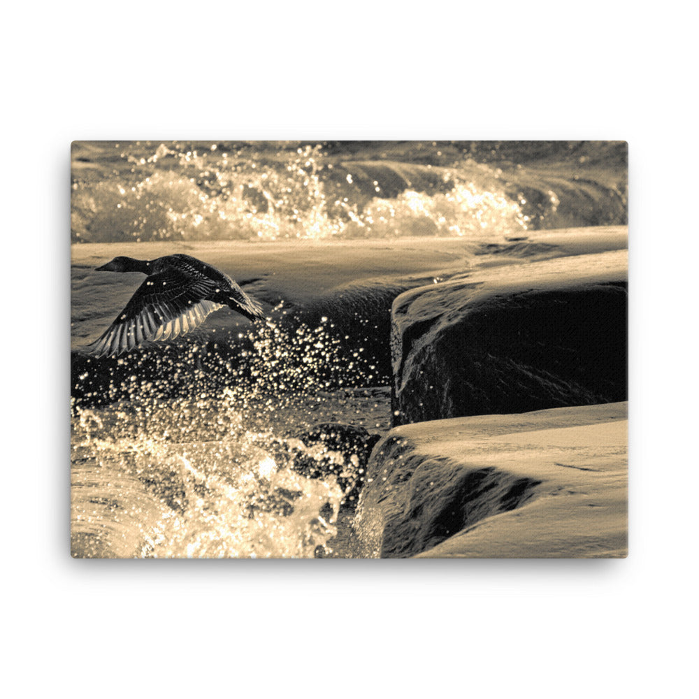 Canvas - Ådan i flykt (Antti Terävä)