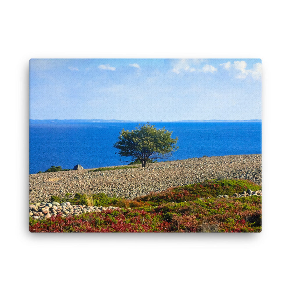 Canvas - Ensamt träd (Antti Terävä)