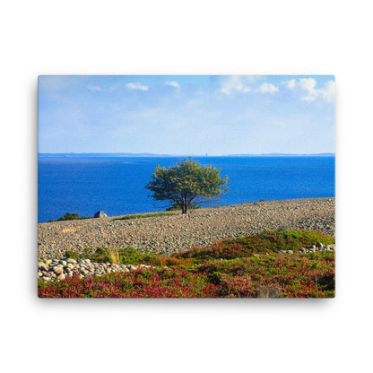 Canvas - Ensamt träd (Antti Terävä)