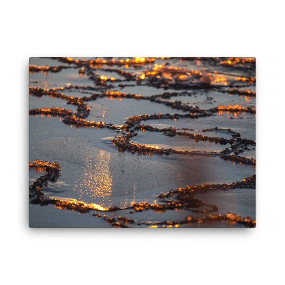 Canvas - Luonnon taideteos (Antti Terävä)