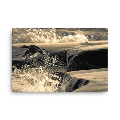 Canvas - Ådan i flykt (Antti Terävä)