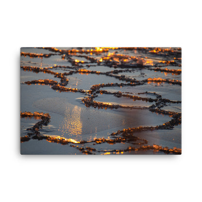 Canvas - Luonnon taideteos (Antti Terävä)