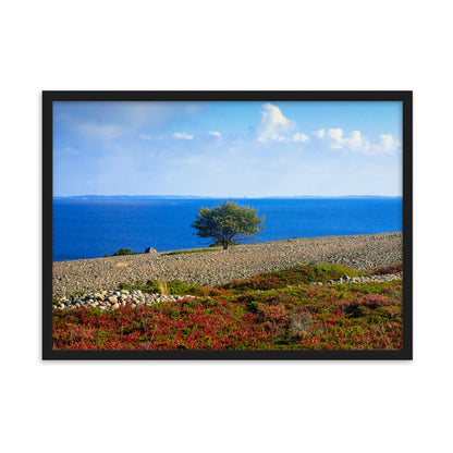 Tavla - Ensamt träd (Antti Terävä)