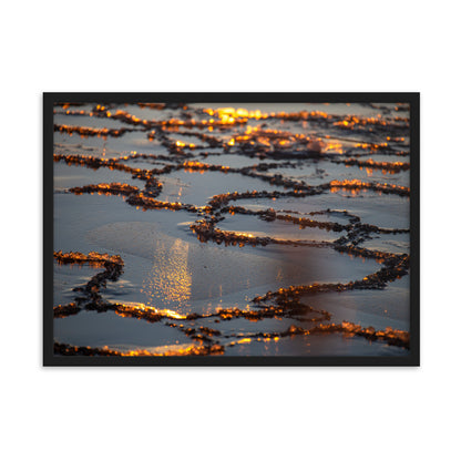 Taulu - Luonnon mestariteos (Antti Terävä)