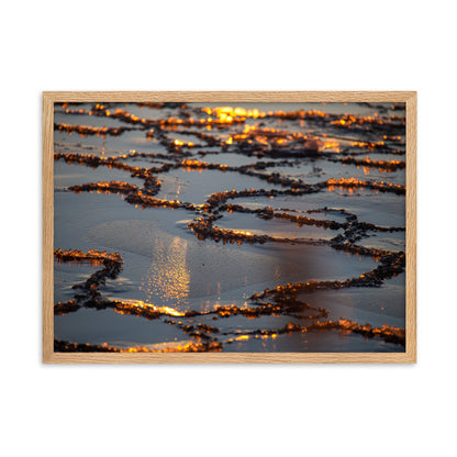 Taulu - Luonnon mestariteos (Antti Terävä)