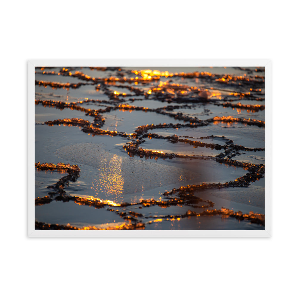 Taulu - Luonnon mestariteos (Antti Terävä)