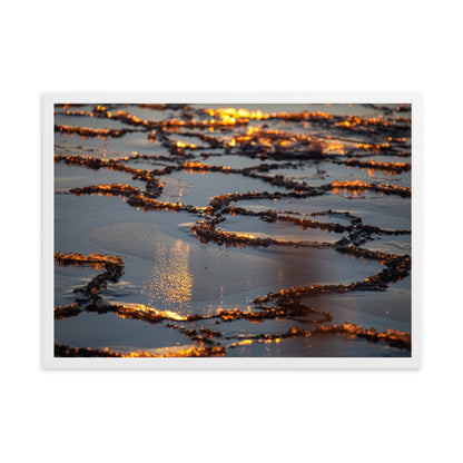 Taulu - Luonnon mestariteos (Antti Terävä)